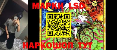 амф Новозыбков