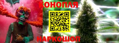 ешки Новодвинск