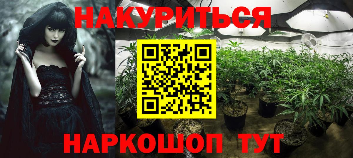 Бошки Шишки Ganja  Марихуана тримм  Орёл  МАРИХУАНА Amnesia  Вход с VPN 